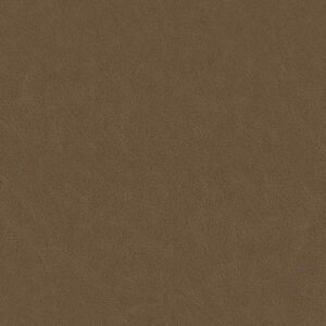 TEMPLATE ANILINE LEATHER