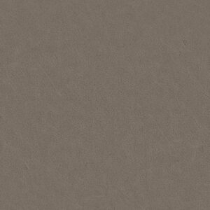 ANILINE LEATHER