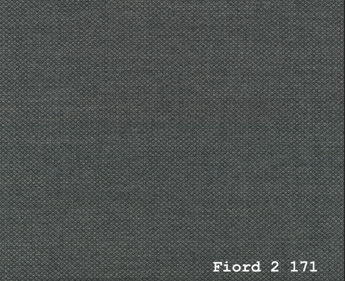 FIORD 2