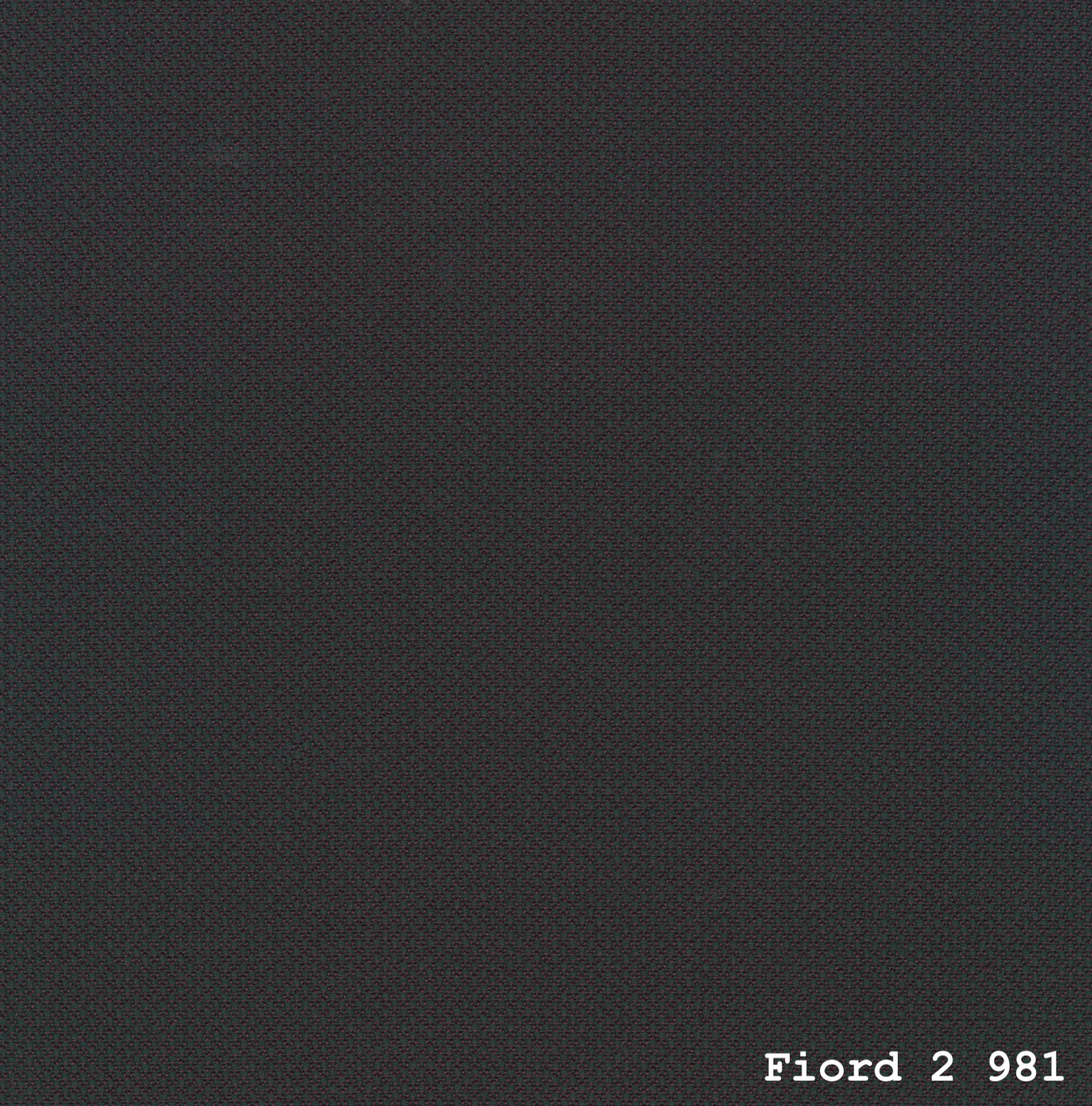 FIORD 2 FRA KVADRAT - NYE HYNDER TIL WEGNER G290