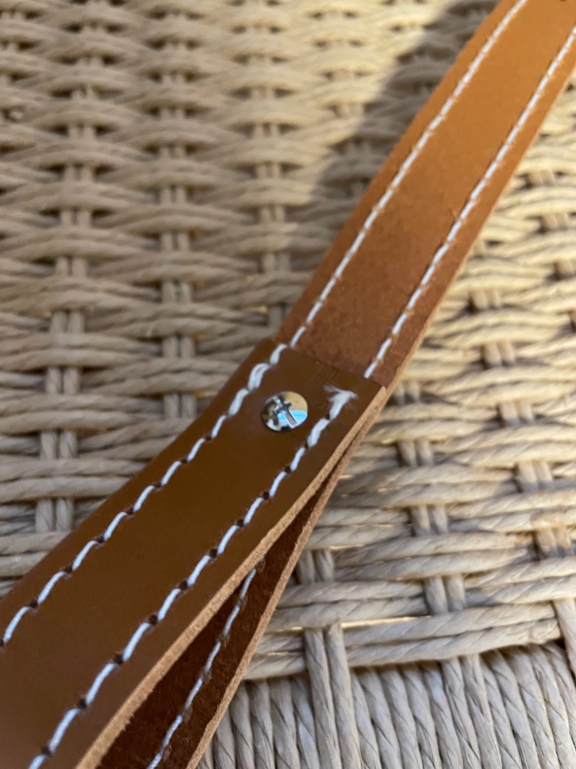 Rem til Aage Bruun Safaristol