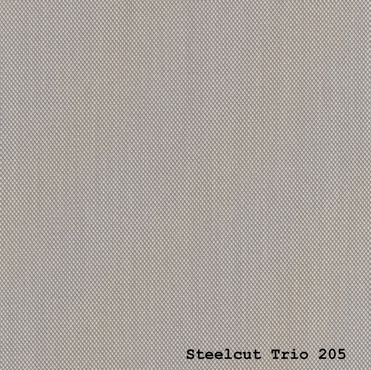 STEELCUT TRIO 3