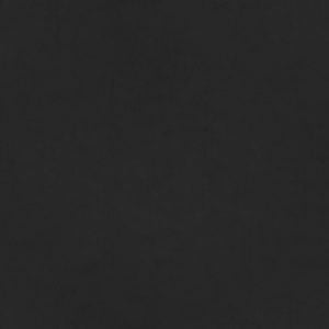 ANILINE LEATHER