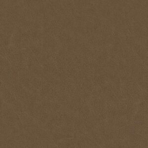 TEMPLATE ANILINE LEATHER