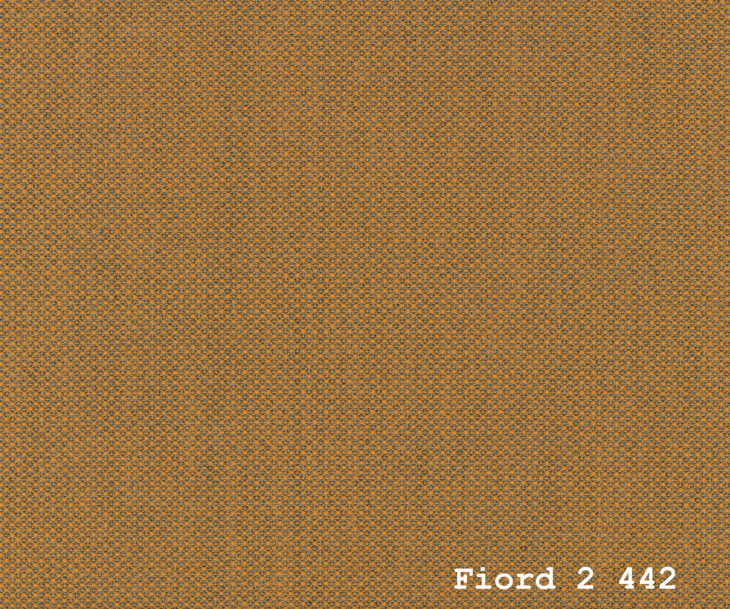 TEMPLATE FOR FIORD 2