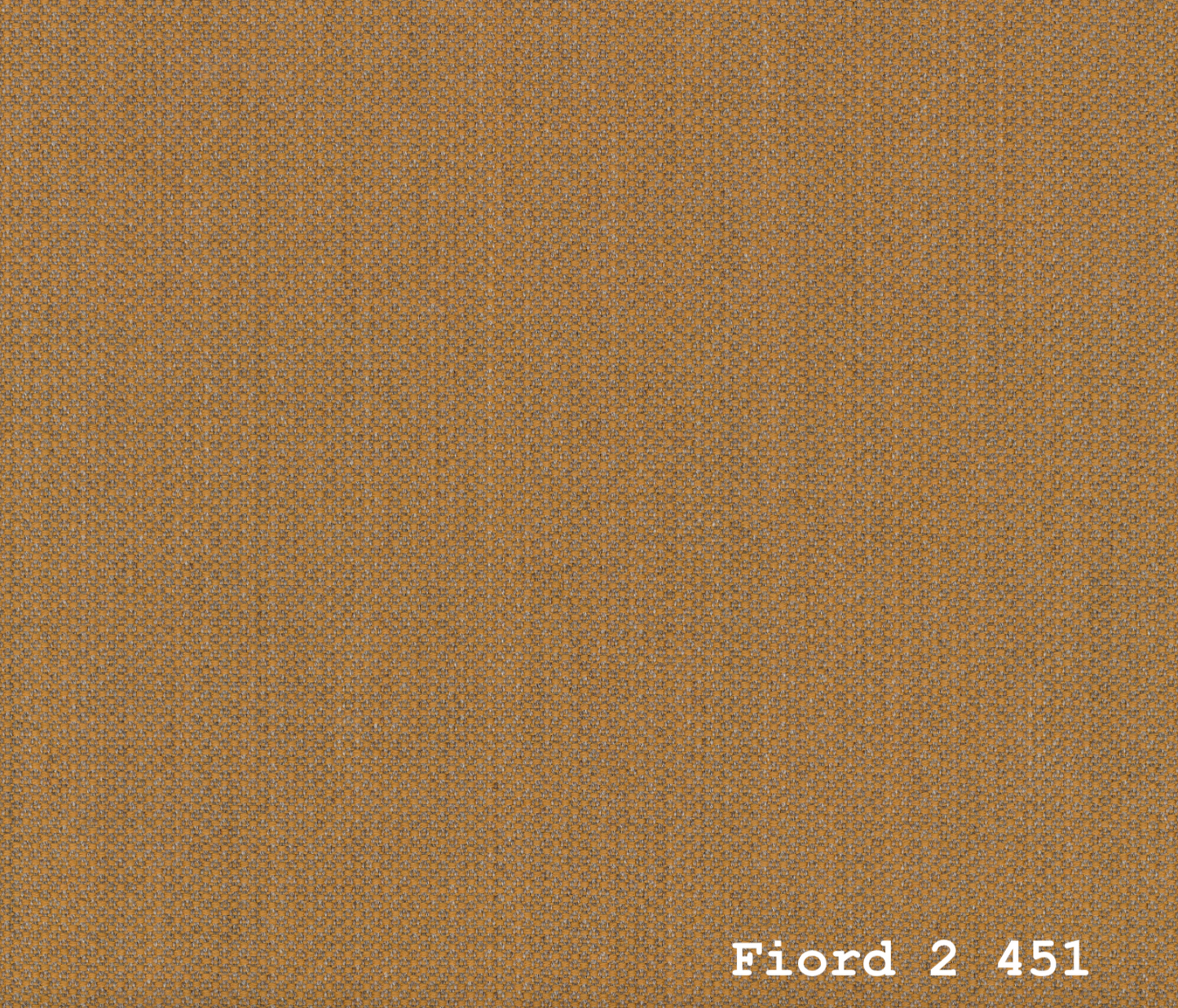 TEMPLATE FOR FIORD 2