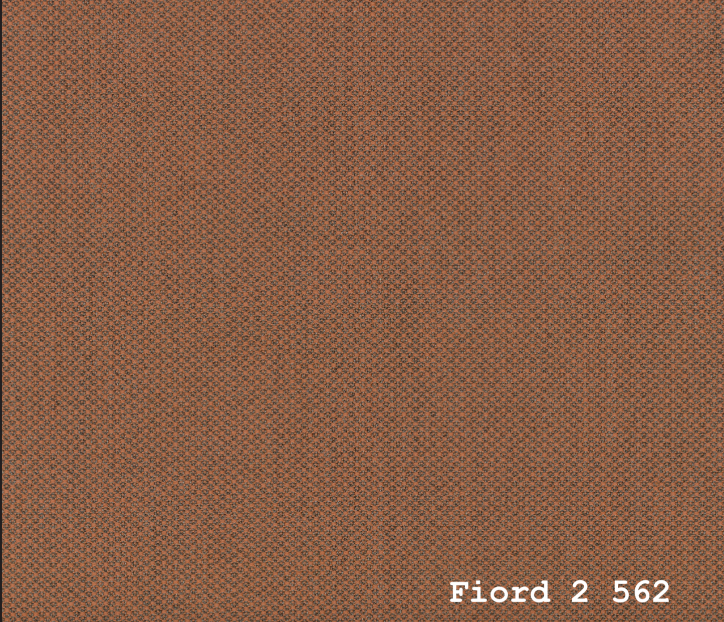 TEMPLATE FOR FIORD 2