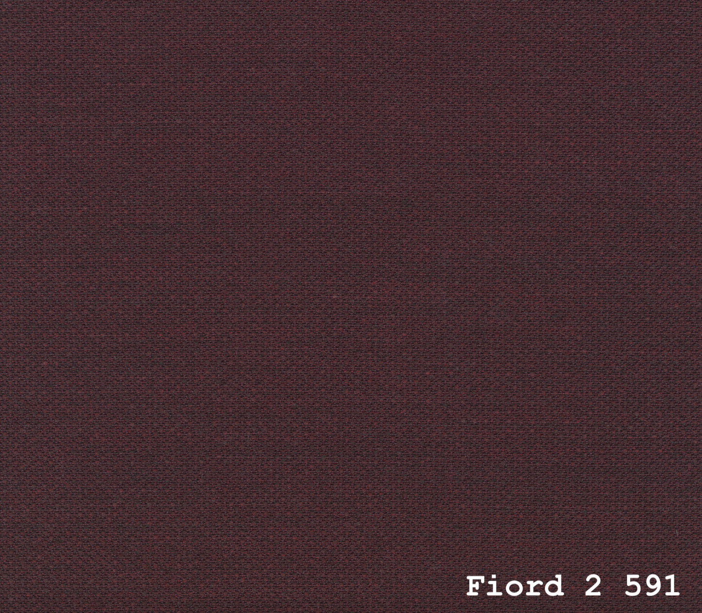 TEMPLATE FOR FIORD 2