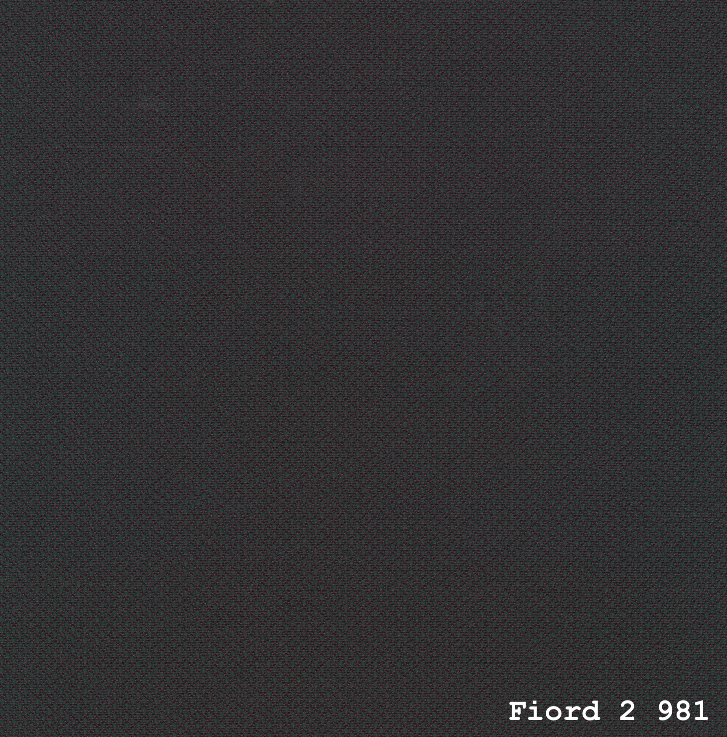 TEMPLATE FOR FIORD 2