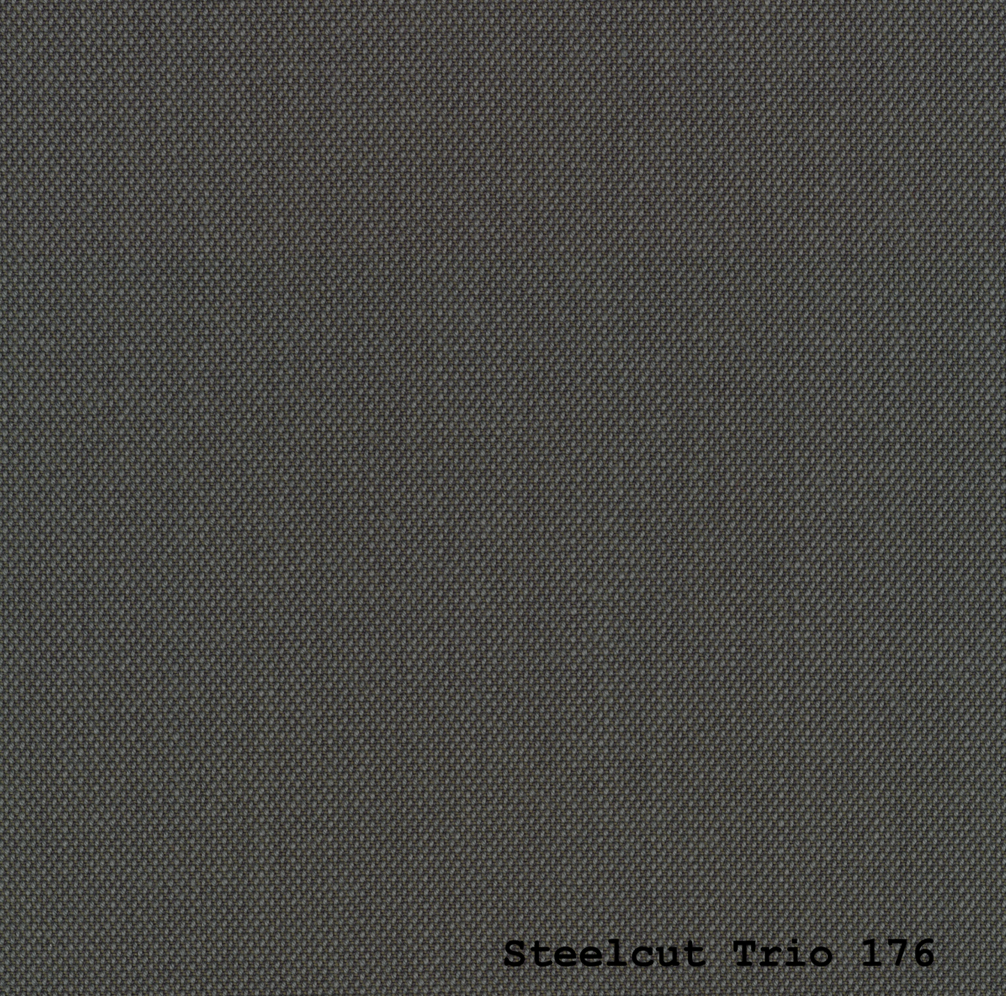 STEELCUT TRIO 3