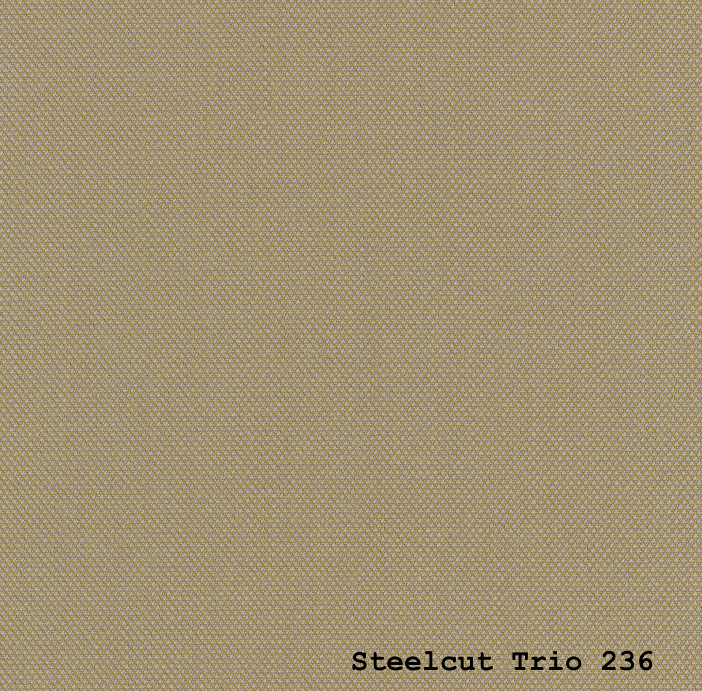 TEMPLATE STEELCUT TRIO 3