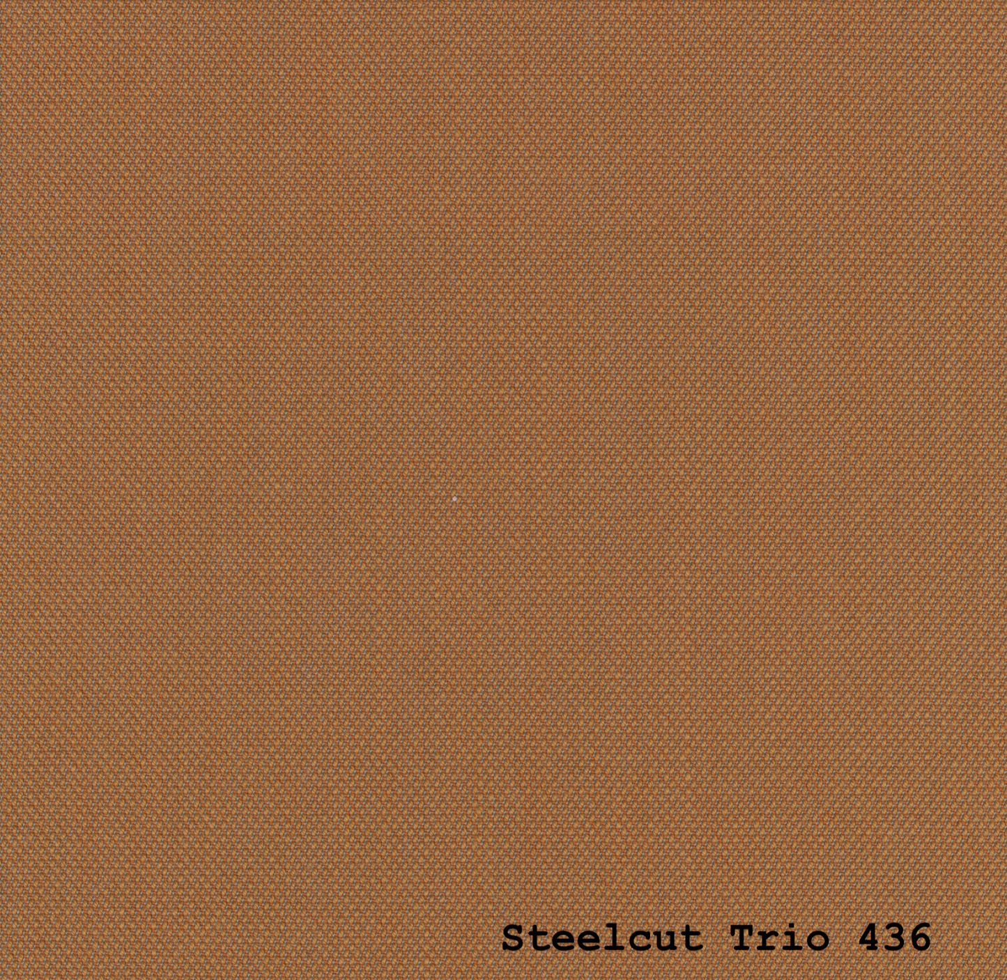 TEMPLATE STEELCUT TRIO 3