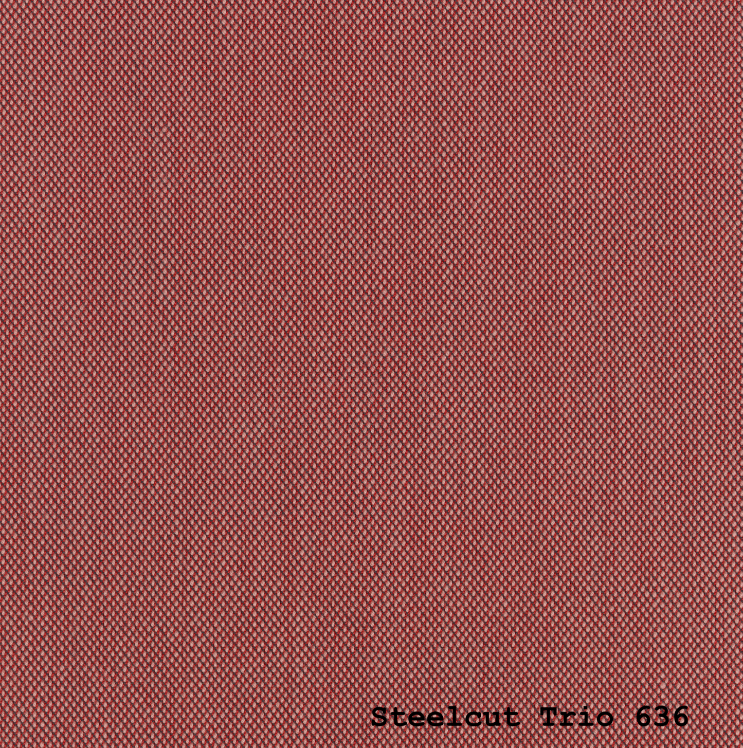 TEMPLATE STEELCUT TRIO 3