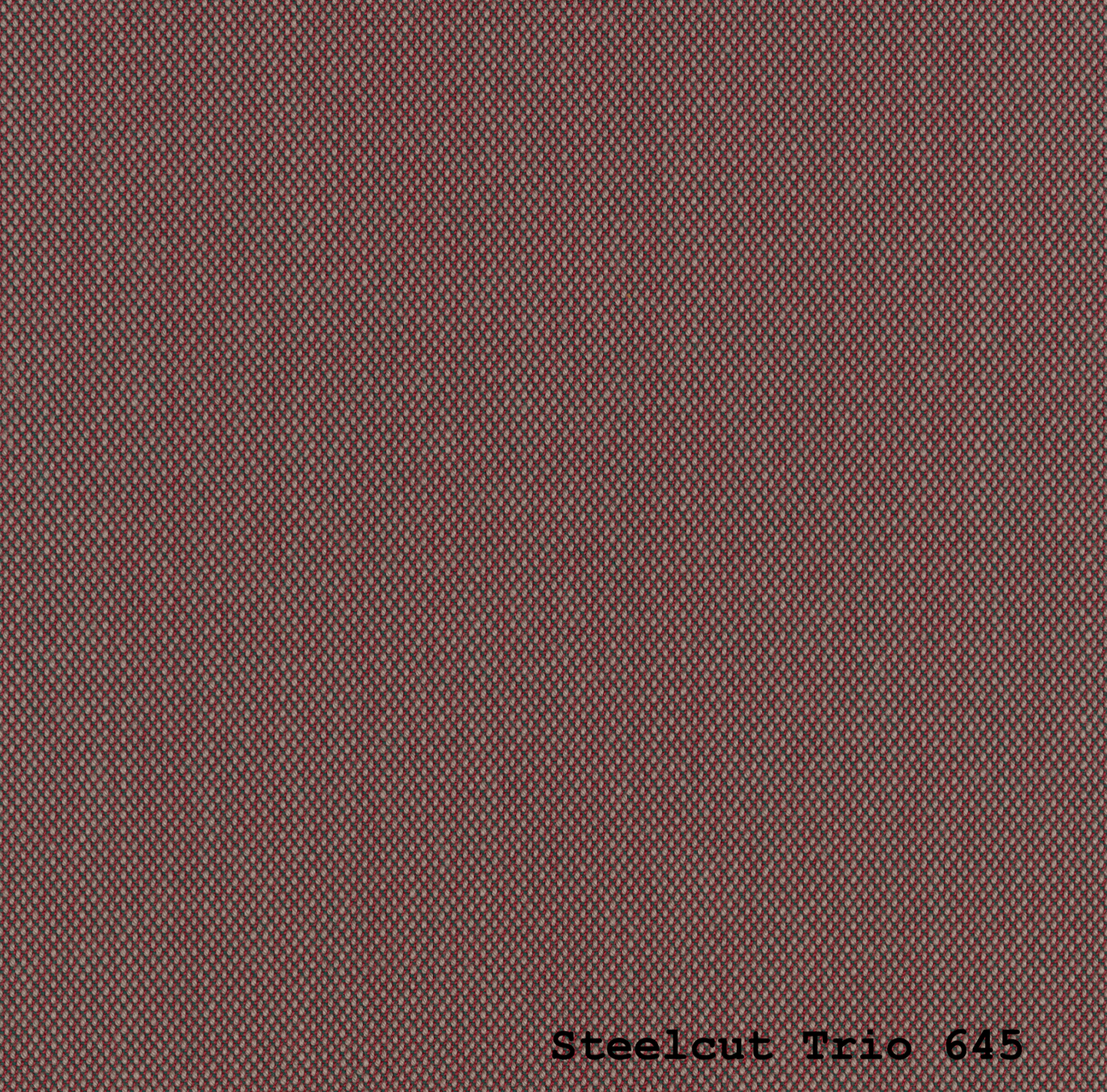 STEELCUT TRIO 3